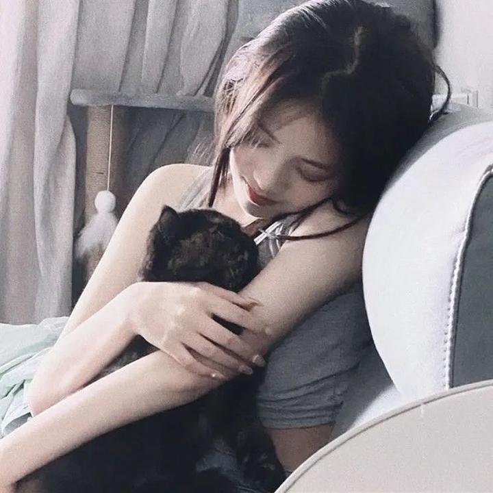 狮蚁